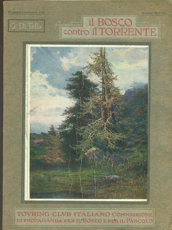 Il bosco contro il torrente