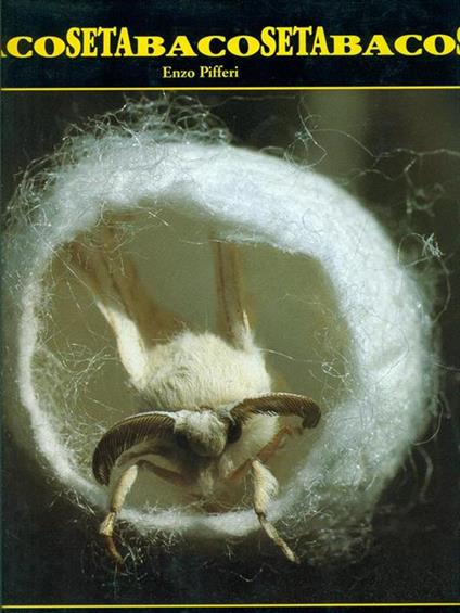 Baco da seta. Il filo del discorso - Enzo Pifferi - copertina