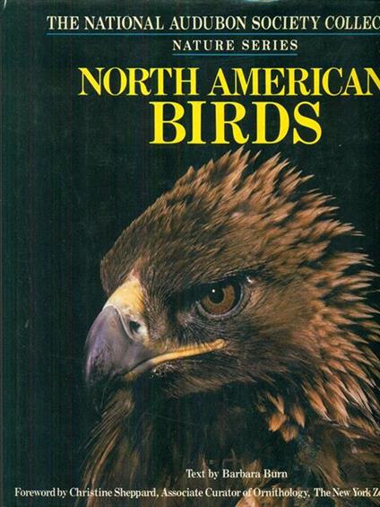 North american birds - copertina