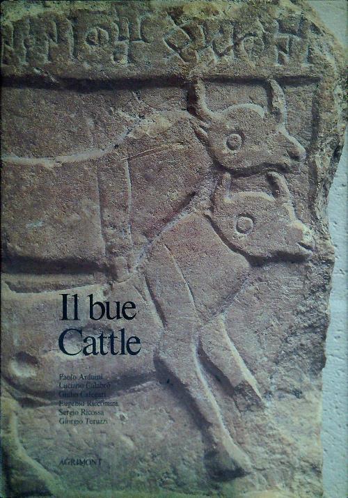 Il bue Cattle