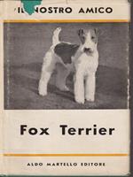 Il nostro amico Fox Terrier