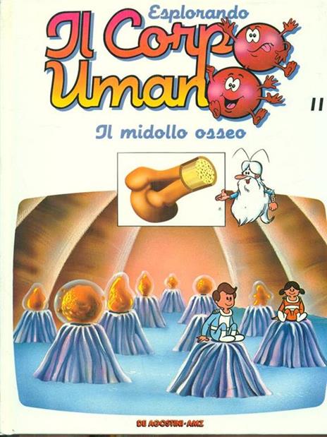 Esplorando il corpo umano 11 Il midollo osseo - copertina