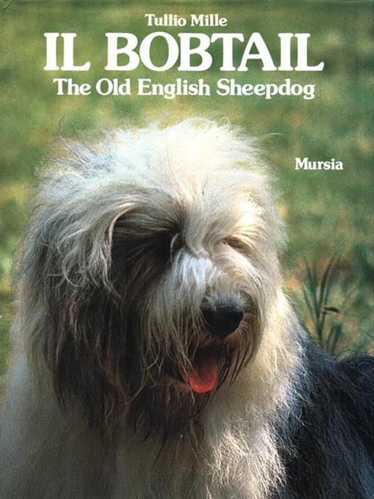 bobtail. The old English sheepdog - Tullio Mille - 2