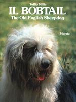 bobtail. The old English sheepdog