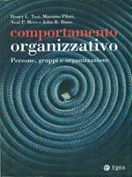 Comportamento organizzativo