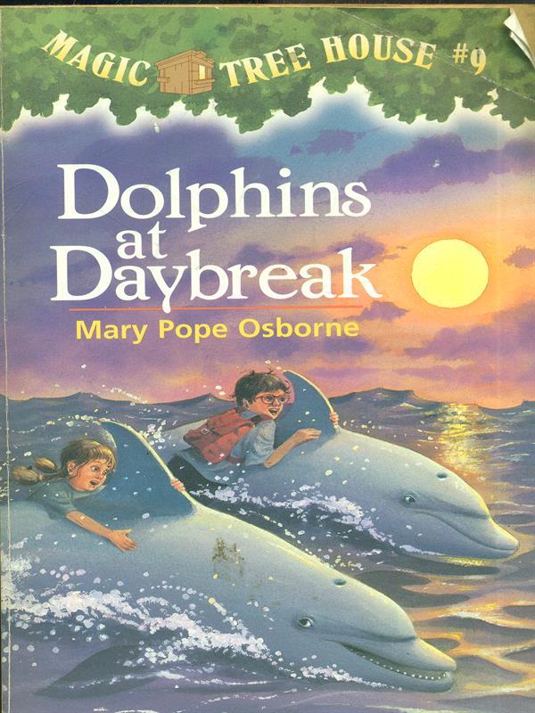Dolphins at Daybreak