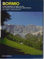 Bormio - L'alta Valtellina di oggi e di ieri