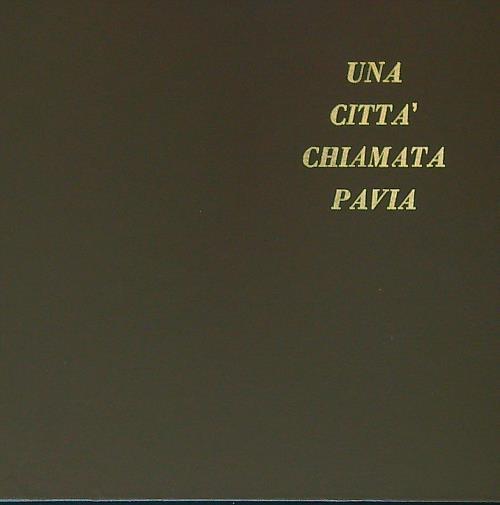 Una città chiamata Pavia