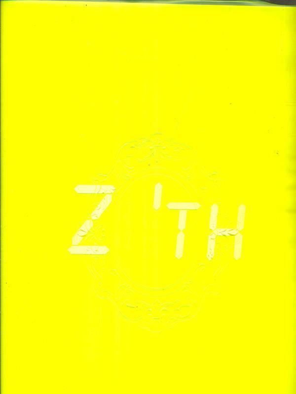 Zhou Tiehai. an other history