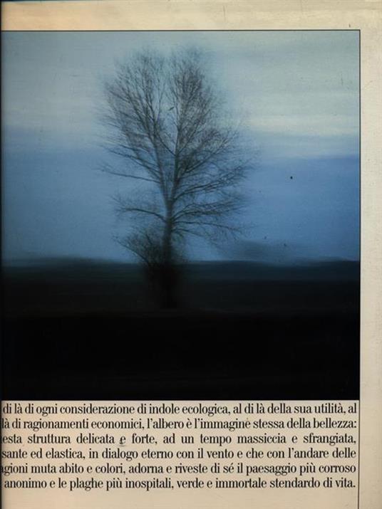 L' albero - Fulvio Roiter - copertina