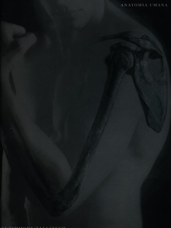 Anatomia umana