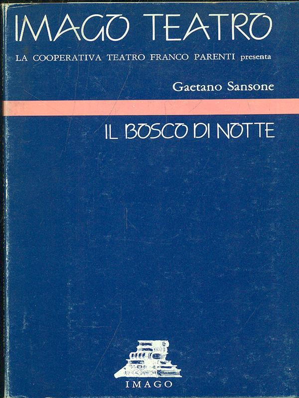 Il bosco di notte
