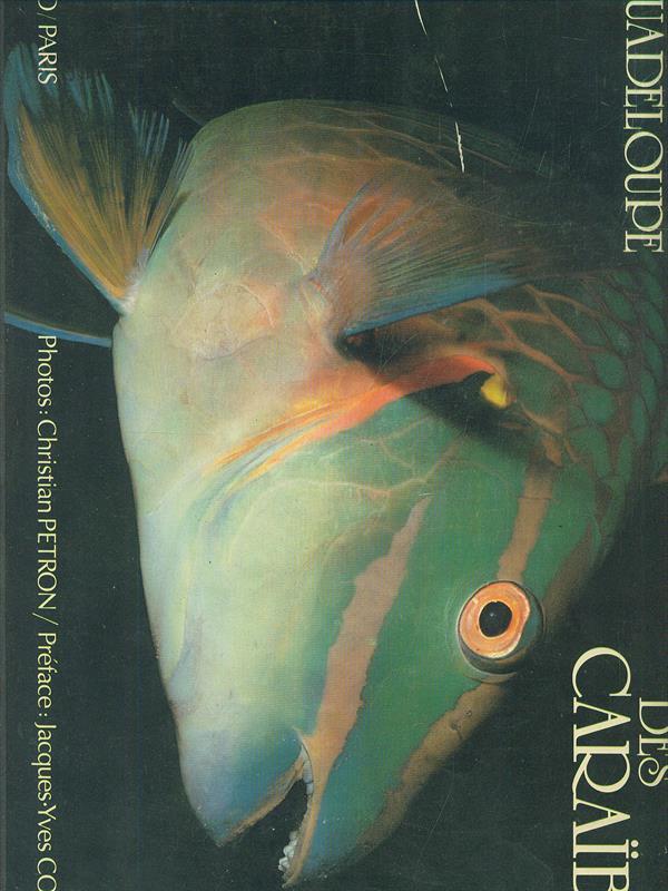 Paradis sous-marin des Caraibes