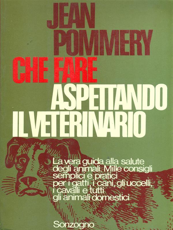 Che fare aspettando il veterinario