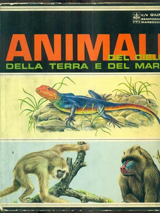 Animali del cielo della terra e del mare - 3