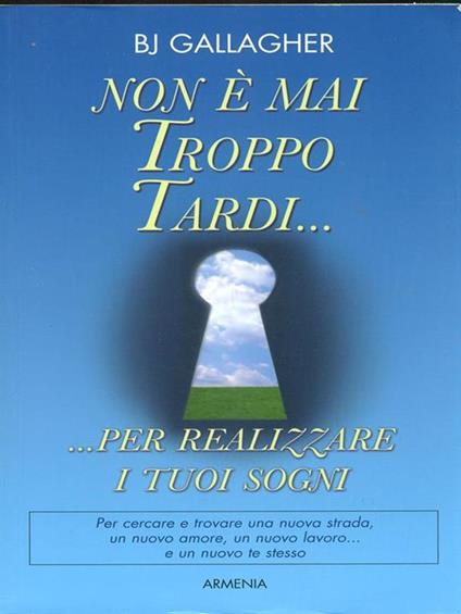 Non é mai troppo tardi - B. J. Gallagher - copertina