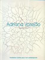 Adriana Varejao chambre d'echos