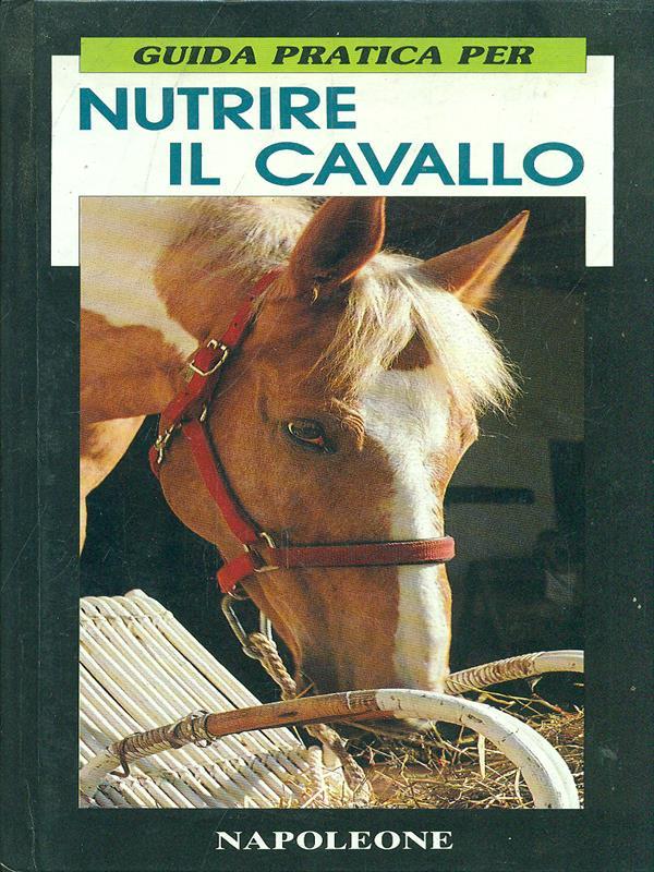 Nutrire il cavallo