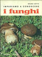 Impariamo a conoscere i funghi