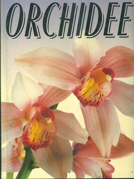 Orchidee - 3