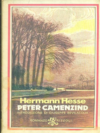 Peter Camenzind - Hermann Hesse - copertina