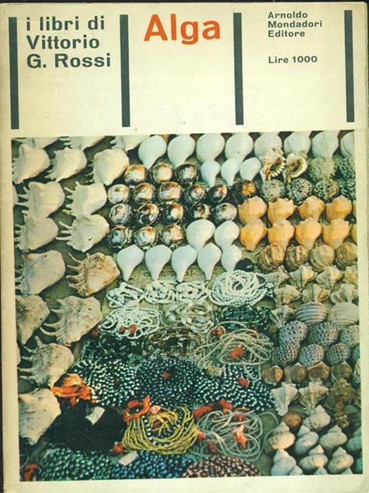 Alga - copertina