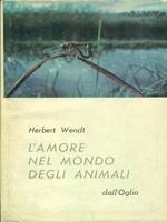 L' amore nel mondo degli animali