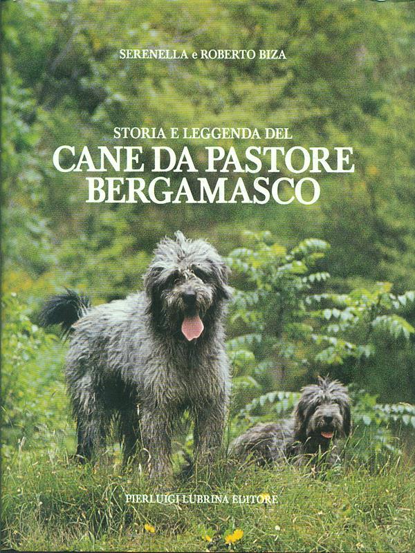 Cane da pastore bergamasco di: Serenella e Roberto Biza