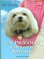 Un piccolo grande amore