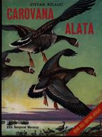 Carovana alata