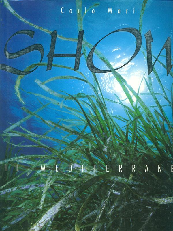 Show Il mediterraneo