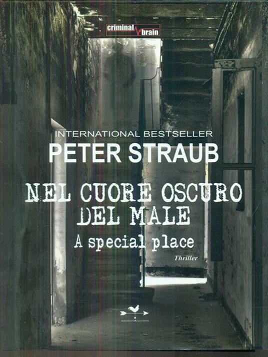 Nel cuore oscuro del male aspecial place - Peter Straub - copertina