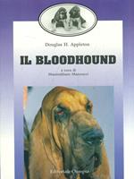 Il Bloodhound