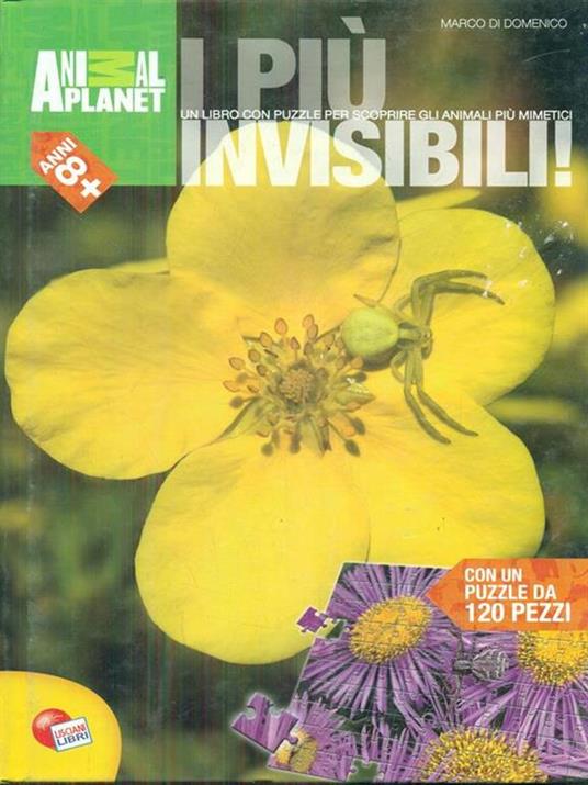 I più invisibili! - Marco di Domenico - copertina