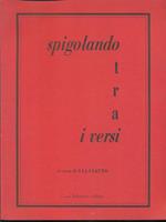 Spigolando tra i versi