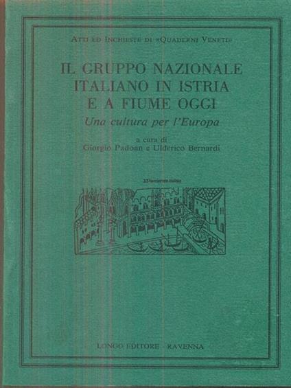 Il gruppo nazionale italiano in Istria e a Fiume oggi - Ulderico Bernardi,Giorgio Padoan - copertina