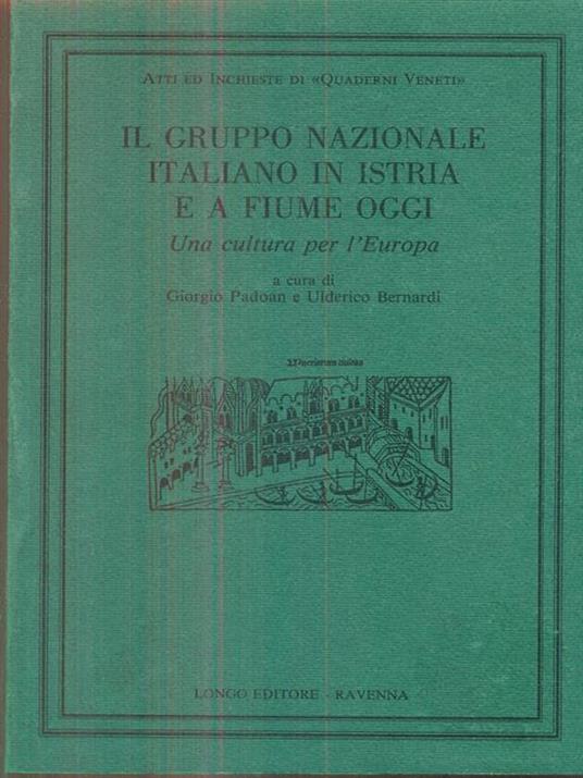 Il gruppo nazionale italiano in Istria e a Fiume oggi - Ulderico Bernardi,Giorgio Padoan - copertina