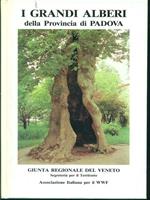I grandi alberi della provincia di Padova