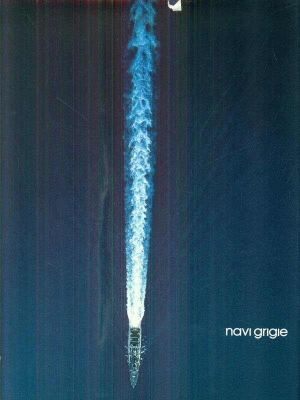 Navi grigie