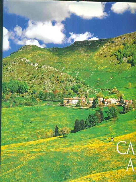 Cinque campanili al vento - copertina