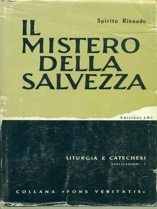 Il mistero della salvezza - Spirito Rinaudo - copertina