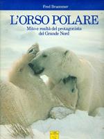 L' orso polare