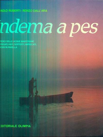 Ndema a pes - Ruberti,Dall'Ara - copertina