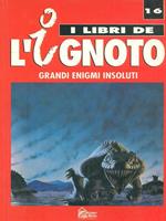 Grandi enigmi insoluti