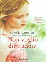 Non voglio dirti addio