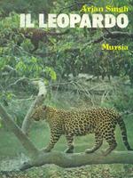 Il leopardo