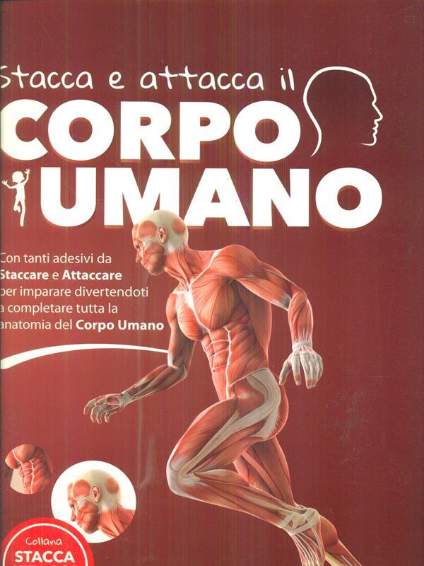 Stacca e attacca il corpo umano