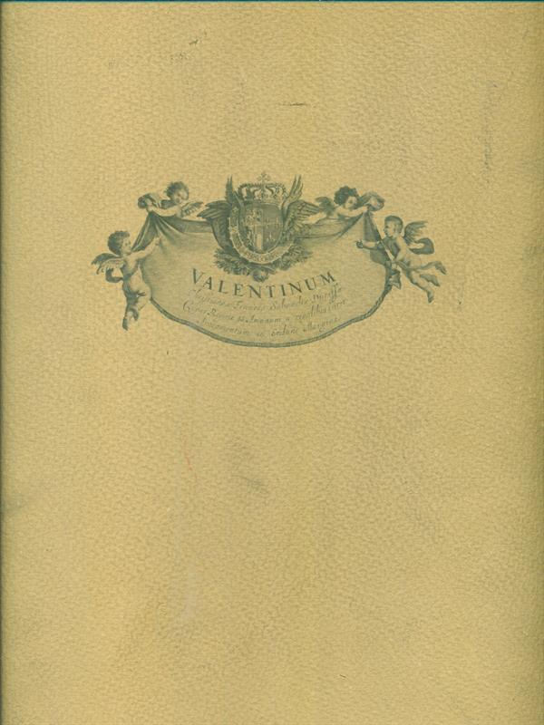 Il castello del valentino