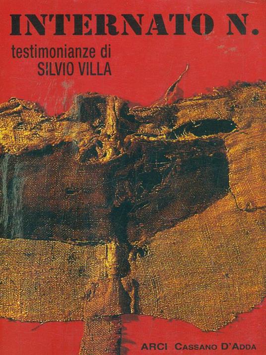Internato N - Silvio Villa - copertina