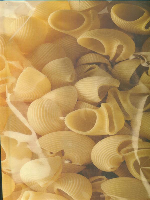 Pasta 100 ricette con tante ideein piu